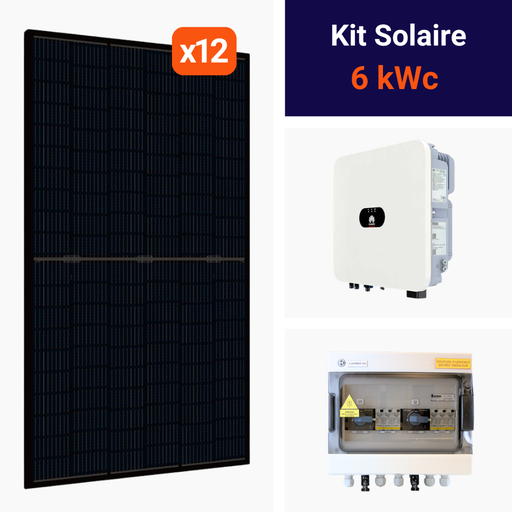 Kit Huawei 6kWc • DMEGC 500 • 6K-LB0 • Monophasé