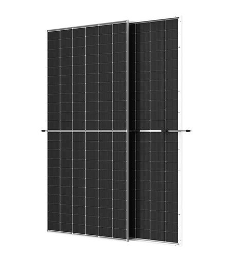 [1-028-059] Trina Solar - TSM-600NEG19RC.20 - 600 Wc - Biverre - Bifacial - Cadre gris